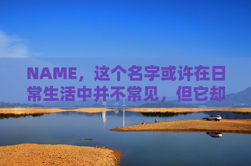 NAME，这个名字或许在日常生活中并不常见，但它却在某些领域里扮演着重要的角色。今天，让我们一起来探索这个名字背后的故事和意义